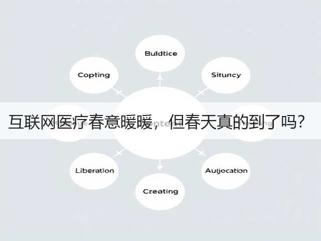 互联网医疗春意暖暖,但春天真的到了吗?(图1) 互联网医疗春意暖暖,但春天真的到了吗?(图1)