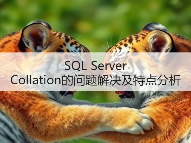 SQL Server Collation的问题解决及特点分析(图2) SQL Server Collation的问题解决及特点分析(图2)