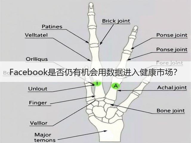 Facebook是否仍有机会用数据进入健康市场?(图3) Facebook是否仍有机会用数据进入健康市场?(图3)