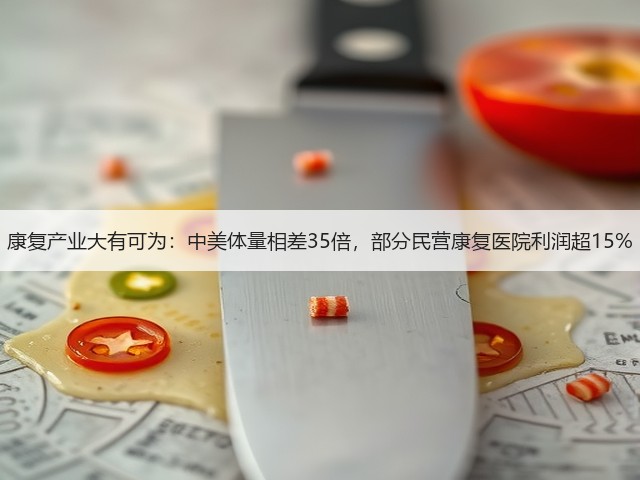 康复产业大有可为:中美体量相差35倍,部分民营康复医院利润超15%(图3) 康复产业大有可为:中美体量相差35倍,部分民营康复医院利润超15%(图3)
