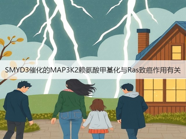 SMYD3催化的MAP3K2赖氨酸甲基化与Ras致癌作用有关(图3)