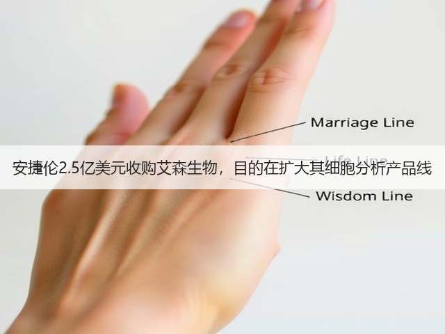 安捷伦2.5亿美元收购艾森生物,目的在扩大其细胞分析产品线(图3) 安捷伦2.5亿美元收购艾森生物,目的在扩大其细胞分析产品线(图3)
