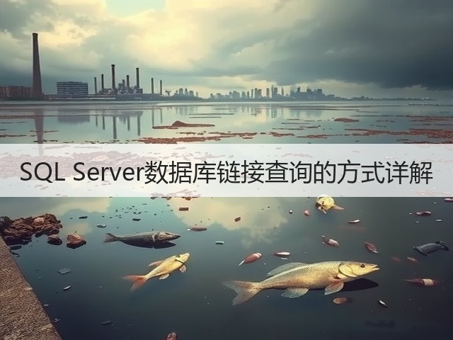 SQL Server数据库链接查询的方式详解(图2) SQL Server数据库链接查询的方式详解(图2)