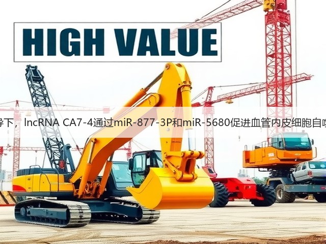 高糖诱导下,lncRNA CA7-4通过miR-877-3P和miR-5680促进血管内皮细胞自噬和凋亡(图3) 高糖诱导下,lncRNA CA7-4通过miR-877-3P和miR-5680促进血管内皮细胞自噬和凋亡(图3)