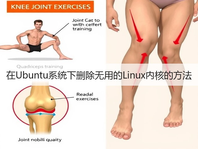在Ubuntu系统下删除无用的Linux内核的方法(图2) 在Ubuntu系统下删除无用的Linux内核的方法(图2)