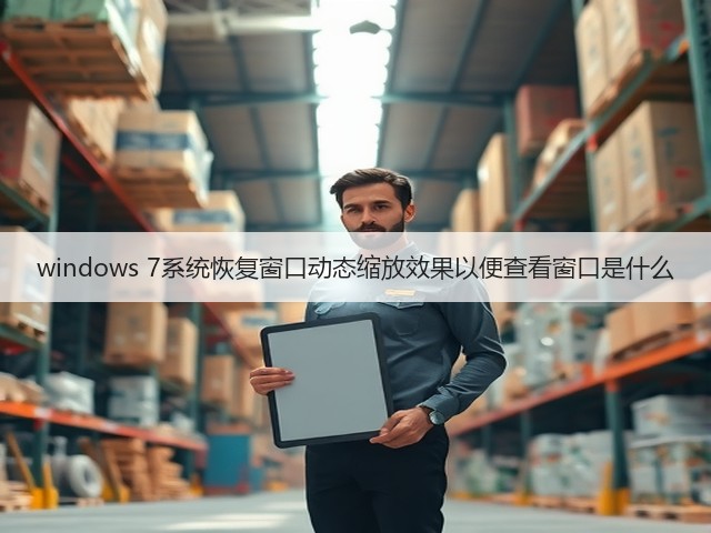 windows 7系统恢复窗口动态缩放效果以便查看窗口是什么(图1)