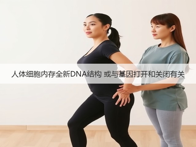人体细胞内存全新DNA结构 或与基因打开和关闭有关(图1) 人体细胞内存全新DNA结构 或与基因打开和关闭有关(图1)