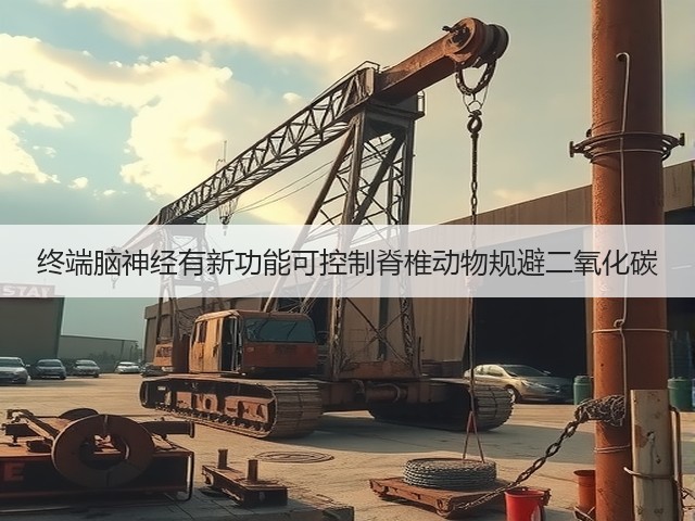 终端脑神经有新功能可控制脊椎动物规避二氧化碳(图3) 终端脑神经有新功能可控制脊椎动物规避二氧化碳(图3)