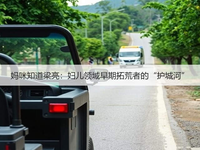 妈咪知道梁亮:妇儿领域早期拓荒者的“护城河”(图3) 妈咪知道梁亮:妇儿领域早期拓荒者的“护城河”(图3)