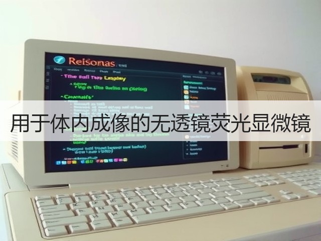 用于体内成像的无透镜荧光显微镜(图1)