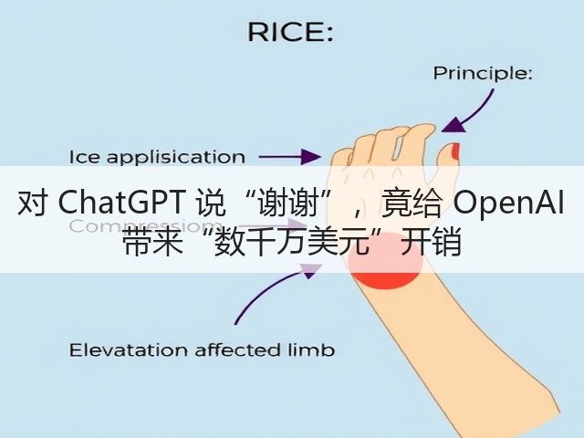 对 ChatGPT 说“谢谢”，竟给 OpenAI 带来“数千万美元”开销(图2)