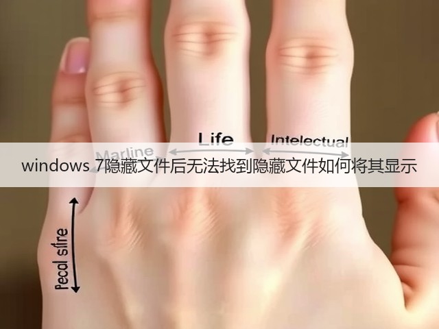 windows 7隐藏文件后无法找到隐藏文件如何将其显示(图3)