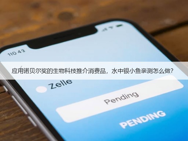 应用诺贝尔奖的生物科技推介消费品,水中银小鱼亲测怎么做?(图2) 应用诺贝尔奖的生物科技推介消费品,水中银小鱼亲测怎么做?(图2)