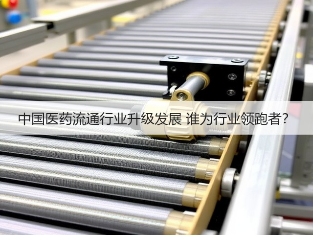 中国医药流通行业升级发展 谁为行业领跑者?(图3) 中国医药流通行业升级发展 谁为行业领跑者?(图3)