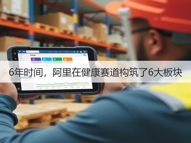 6年时间，阿里在健康赛道构筑了6大板块(图2)