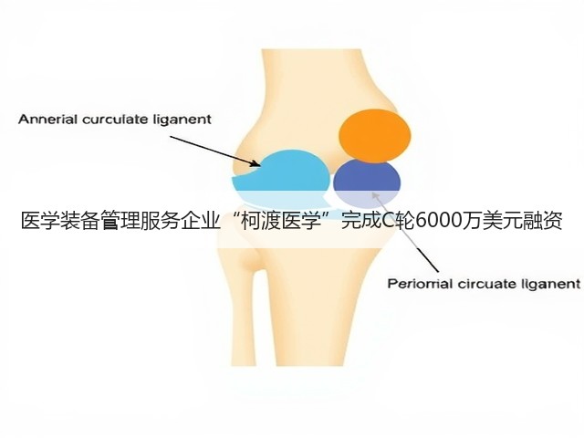 医学装备管理服务企业“柯渡医学”完成C轮6000万美元融资(图2) 医学装备管理服务企业“柯渡医学”完成C轮6000万美元融资(图2)