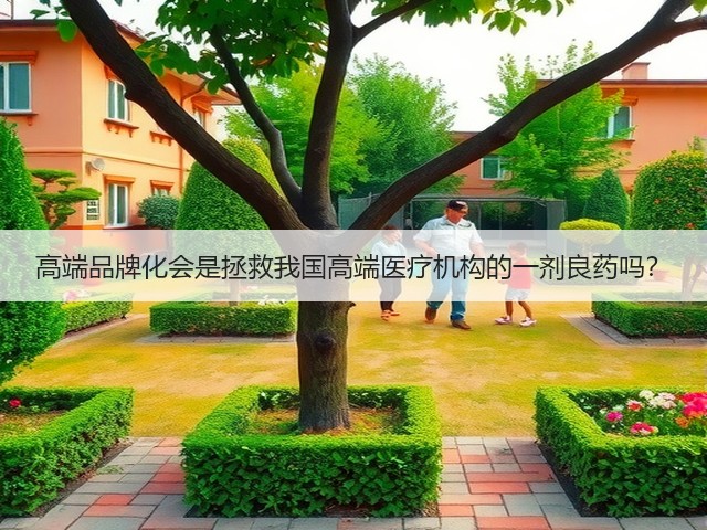 高端品牌化会是拯救我国高端医疗机构的一剂良药吗?(图1) 高端品牌化会是拯救我国高端医疗机构的一剂良药吗?(图1)