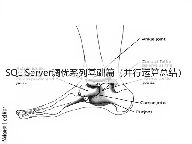 SQL Server调优系列基础篇(并行运算总结)(图1) SQL Server调优系列基础篇(并行运算总结)(图1)