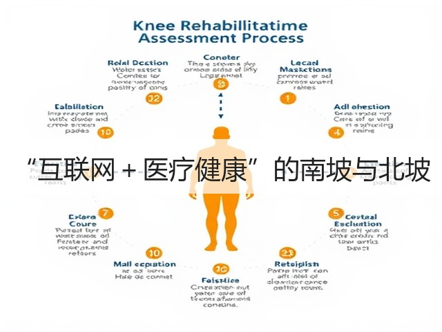 “互联网+医疗健康”的南坡与北坡(图3) “互联网+医疗健康”的南坡与北坡(图3)