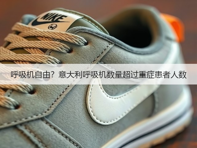 呼吸机自由?意大利呼吸机数量超过重症患者人数(图3) 呼吸机自由?意大利呼吸机数量超过重症患者人数(图3)