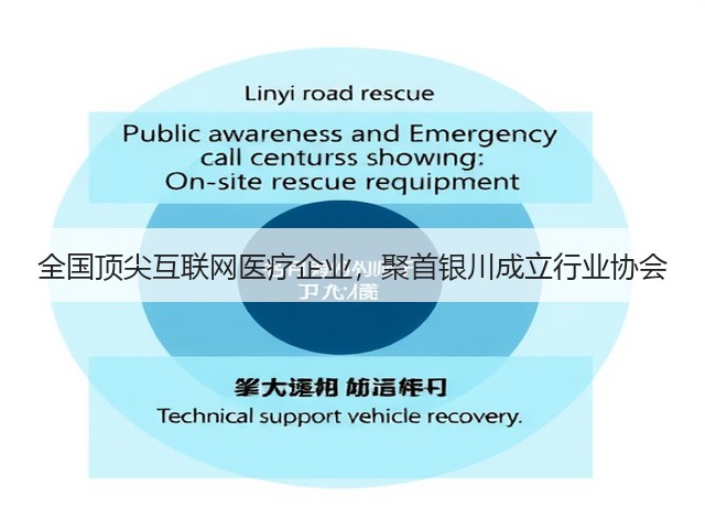 全国顶尖互联网医疗企业,聚首银川成立行业协会(图3) 全国顶尖互联网医疗企业,聚首银川成立行业协会(图3)