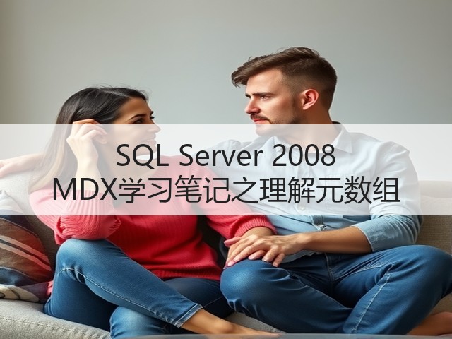 SQL Server 2008 MDX学习笔记之理解元数组(图1) SQL Server 2008 MDX学习笔记之理解元数组(图1)