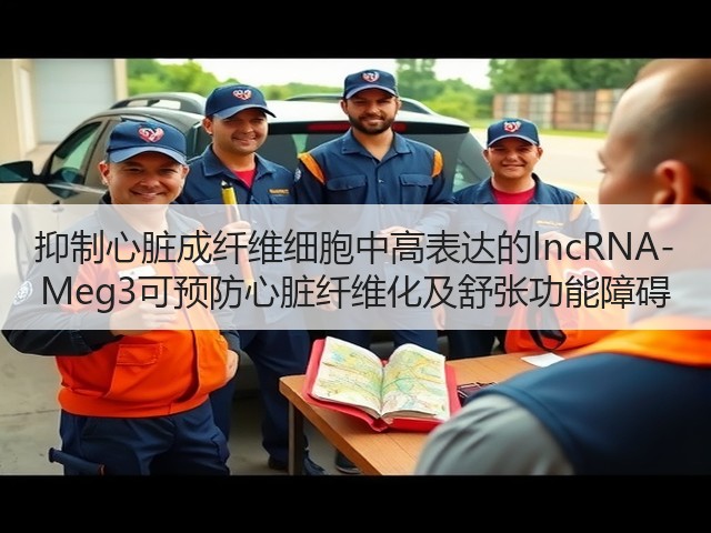 抑制心脏成纤维细胞中高表达的lncRNA-Meg3可预防心脏纤维化及舒张功能障碍(图2) 抑制心脏成纤维细胞中高表达的lncRNA-Meg3可预防心脏纤维化及舒张功能障碍(图2)