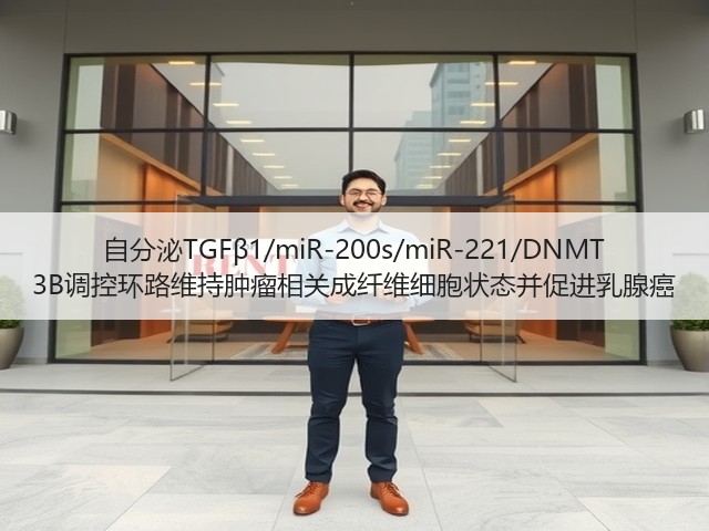 自分泌TGFβ1/miR-200s/miR-221/DNMT 3B调控环路维持肿瘤相关成纤维细胞状态并促进乳腺癌(图2) 自分泌TGFβ1/miR-200s/miR-221/DNMT 3B调控环路维持肿瘤相关成纤维细胞状态并促进乳腺癌(图2)