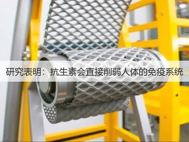 研究表明：抗生素会直接削弱人体的免疫系统(图3)