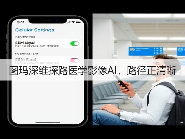 图玛深维探路医学影像AI,路径正清晰(图1) 图玛深维探路医学影像AI,路径正清晰(图1)