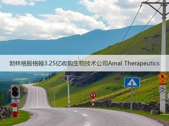 勃林格殷格翰3.25亿收购生物技术公司Amal Therapeutics(图1)