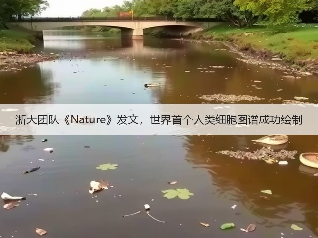 浙大团队《Nature》发文,世界首个人类细胞图谱成功绘制(图2) 浙大团队《Nature》发文,世界首个人类细胞图谱成功绘制(图2)