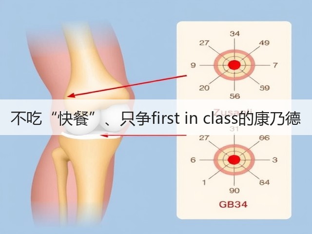 不吃“快餐”、只争first in class的康乃德(图1) 不吃“快餐”、只争first in class的康乃德(图1)