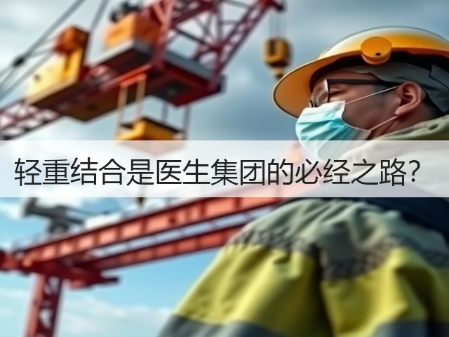 轻重结合是医生集团的必经之路?(图2) 轻重结合是医生集团的必经之路?(图2)