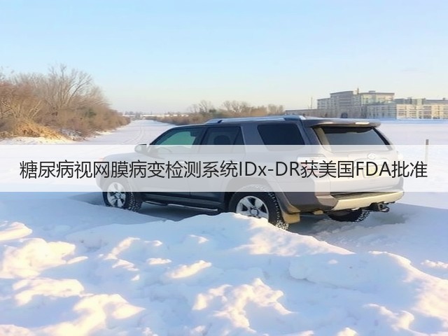 糖尿病视网膜病变检测系统IDx-DR获美国FDA批准(图1) 糖尿病视网膜病变检测系统IDx-DR获美国FDA批准(图1)
