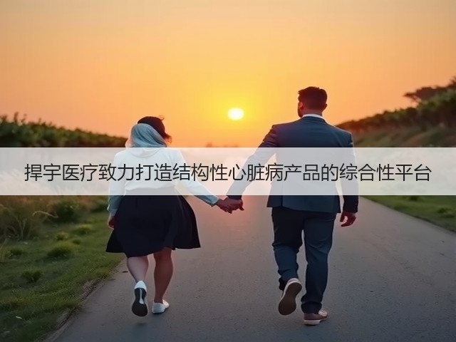 捍宇医疗致力打造结构性心脏病产品的综合性平台(图3) 捍宇医疗致力打造结构性心脏病产品的综合性平台(图3)