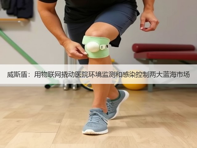 威斯盾:用物联网撬动医院环境监测和感染控制两大蓝海市场(图2) 威斯盾:用物联网撬动医院环境监测和感染控制两大蓝海市场(图2)