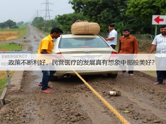 政策不断利好,民营医疗的发展真有想象中那般美好?(图1) 政策不断利好,民营医疗的发展真有想象中那般美好?(图1)