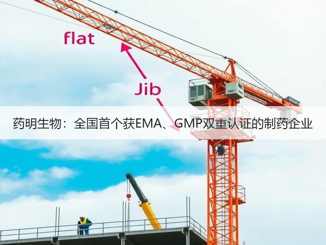 药明生物:全国首个获EMA、GMP双重认证的制药企业(图3) 药明生物:全国首个获EMA、GMP双重认证的制药企业(图3)