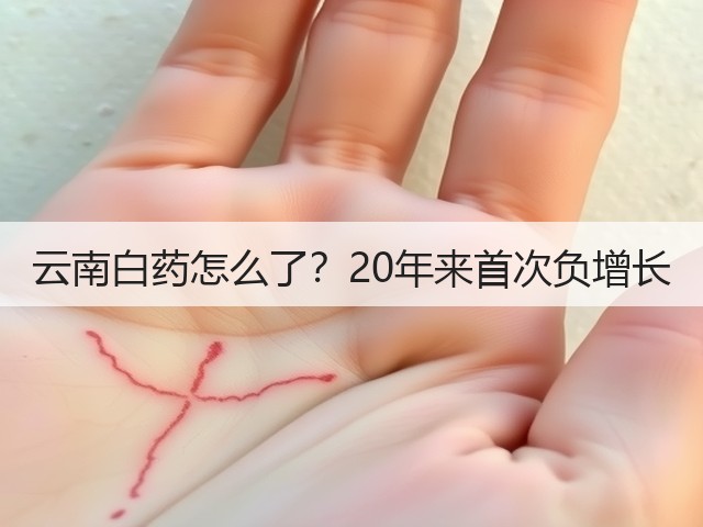 云南白药怎么了?20年来首次负增长(图2) 云南白药怎么了?20年来首次负增长(图2)