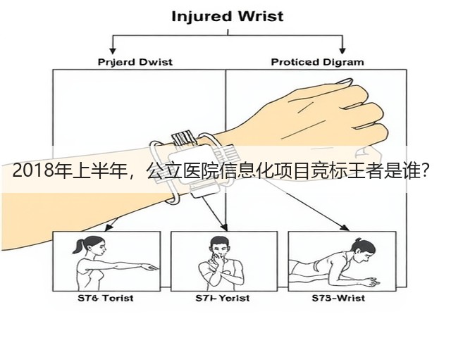 2018年上半年,公立医院信息化项目竞标王者是谁?(图1) 2018年上半年,公立医院信息化项目竞标王者是谁?(图1)
