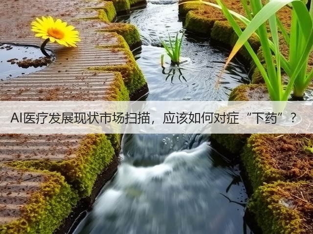 AI医疗发展现状市场扫描,应该如何对症“下药”?(图1) AI医疗发展现状市场扫描,应该如何对症“下药”?(图1)