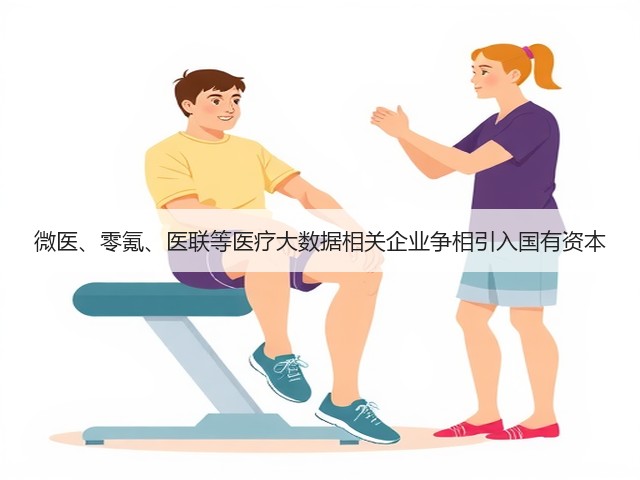 微医、零氪、医联等医疗大数据相关企业争相引入国有资本(图1)
