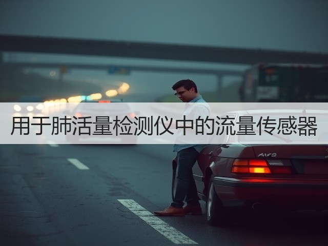 用于肺活量检测仪中的流量传感器(图1) 用于肺活量检测仪中的流量传感器(图1)