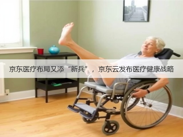 京东医疗布局又添“新兵”,京东云发布医疗健康战略(图1) 京东医疗布局又添“新兵”,京东云发布医疗健康战略(图1)