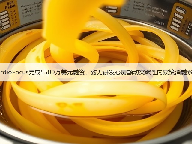 CardioFocus完成5500万美元融资,致力研发心房颤动突破性内窥镜消融系统(图1) CardioFocus完成5500万美元融资,致力研发心房颤动突破性内窥镜消融系统(图1)