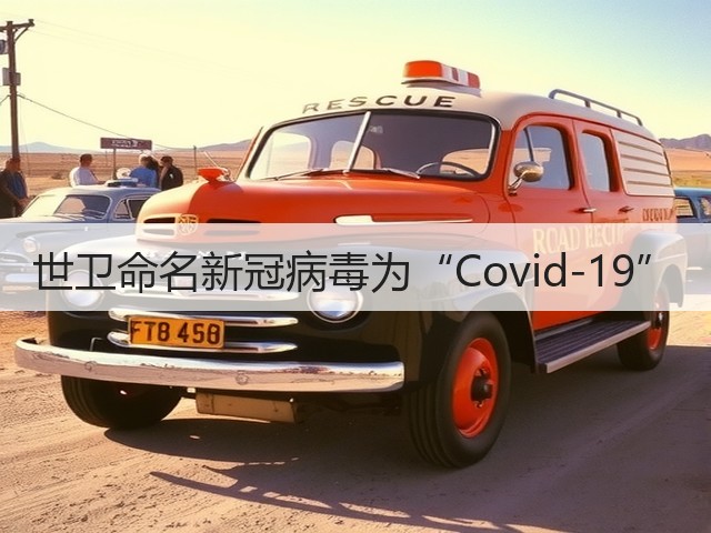 世卫命名新冠病毒为“Covid-19”(图2) 世卫命名新冠病毒为“Covid-19”(图2)