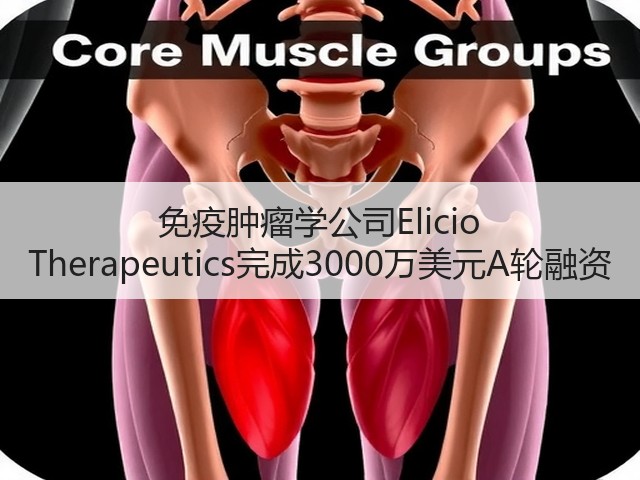免疫肿瘤学公司Elicio Therapeutics完成3000万美元A轮融资(图3)