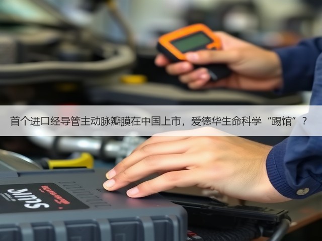 首个进口经导管主动脉瓣膜在中国上市，爱德华生命科学“踢馆”？(图2)
