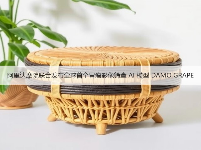 阿里达摩院联合发布全球首个胃癌影像筛查 AI 模型 DAMO GRAPE(图3) 阿里达摩院联合发布全球首个胃癌影像筛查 AI 模型 DAMO GRAPE(图3)